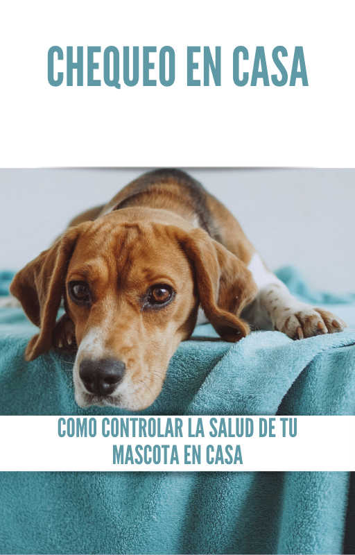 Tu mascota podría estar enferma sin que tú lo hayas notado